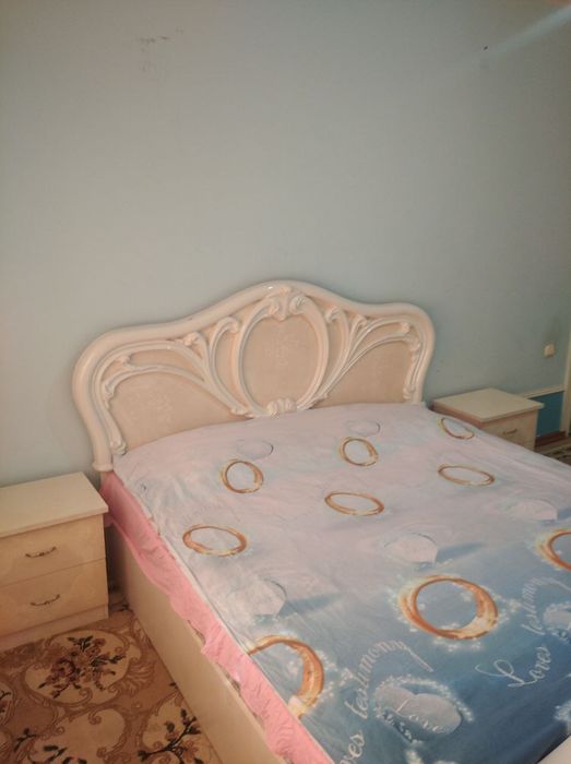 3х комнатная квартира возле метро