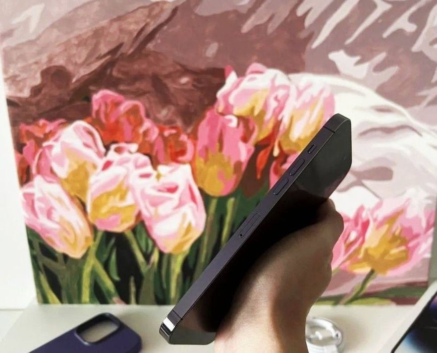 Iphone 14 pro max bo