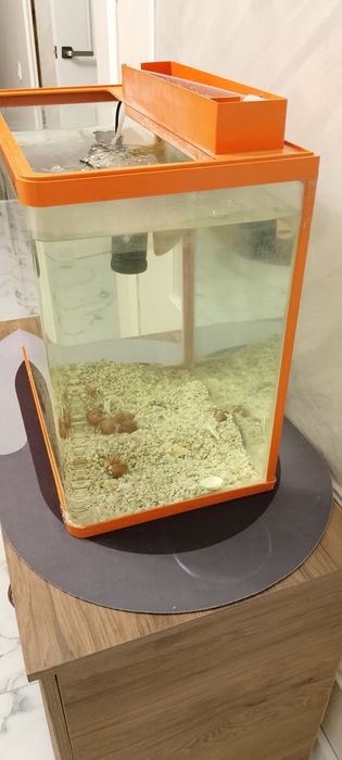 Заводской аквариум 80л