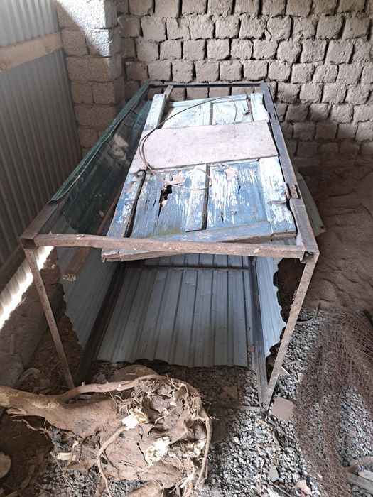 Дайын душ далаға