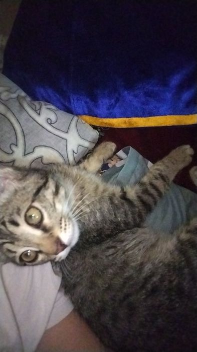 Зовут томи ночью спит обнимает