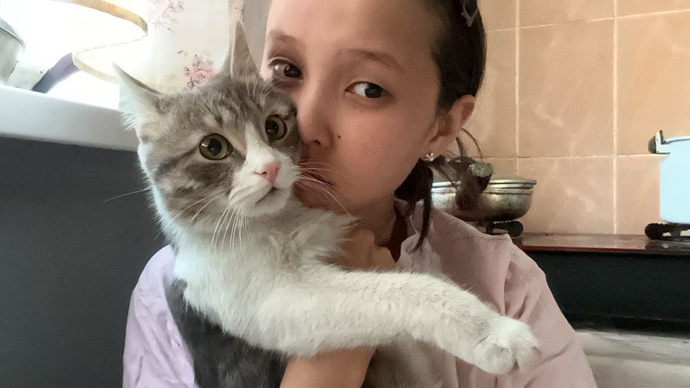 Зооняня для ваших животных