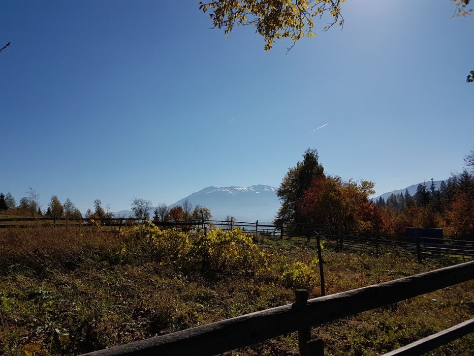 Teren la munte poiana marului brasov