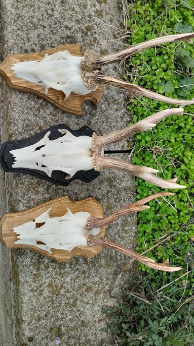 Декор, украса, сувенир