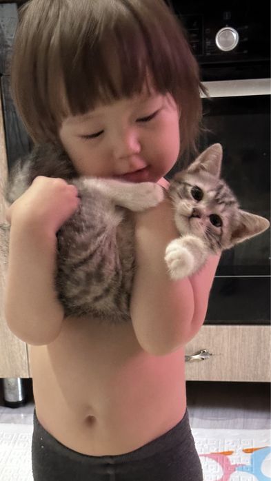 Кошки мысық 2айлық