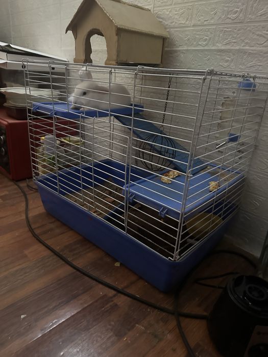 Продам большую клетку с кроликом