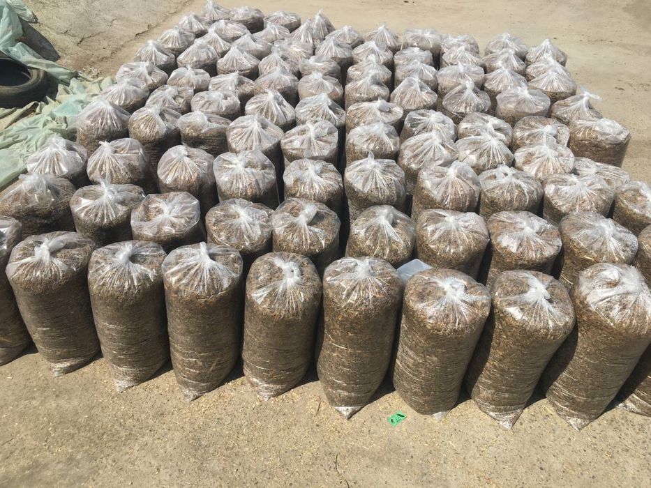 Salafan qoplar optom ishlab chqaruvchidan