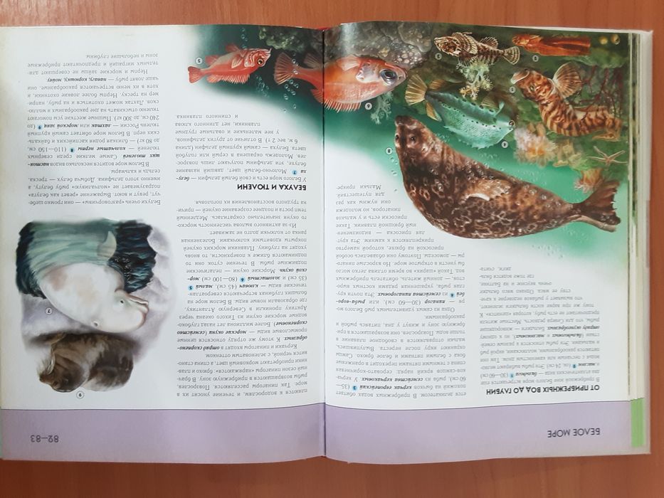 Подводный мир ( Полная энциклопедия )