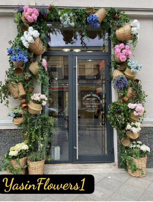 Декоративные растения, искусственные цветы и деревья.