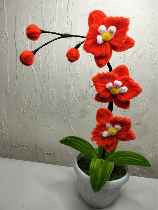 Продам цветы подарок