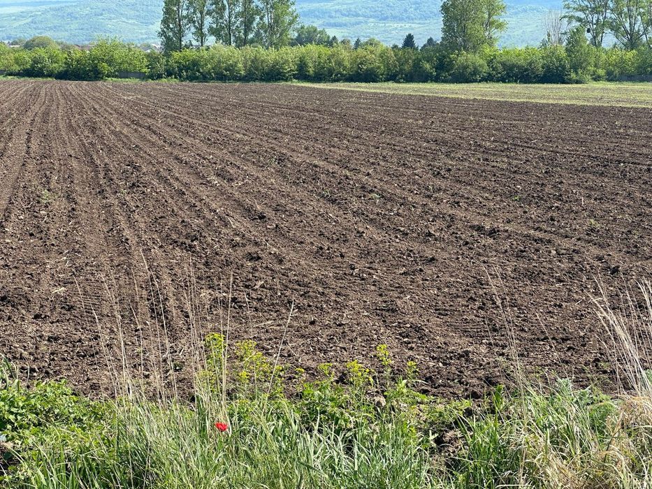 Teren Dancu deschidere la  aleea betonata