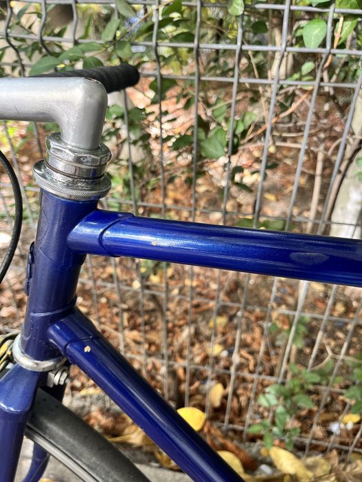 Bicicleta Fixed Gear (Fixie)