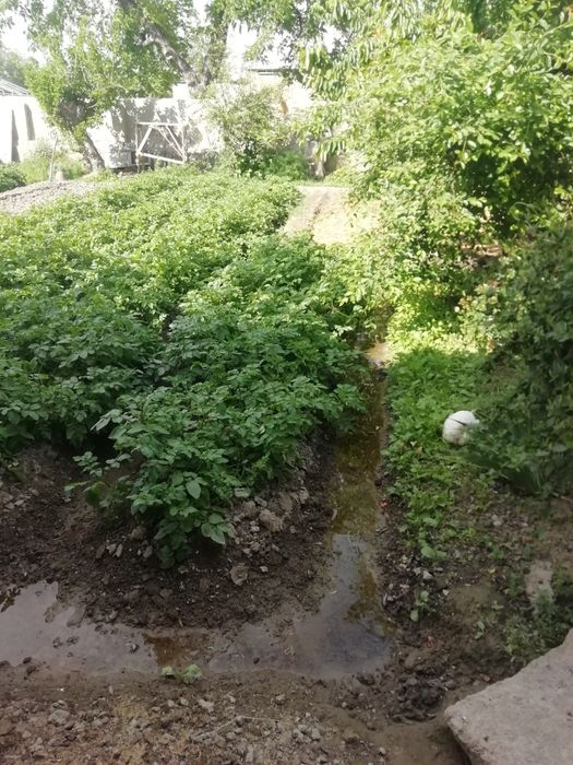 6 сотих ер тураржой