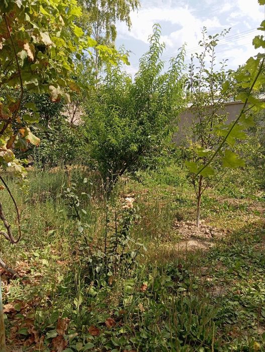 Продается земельный участок