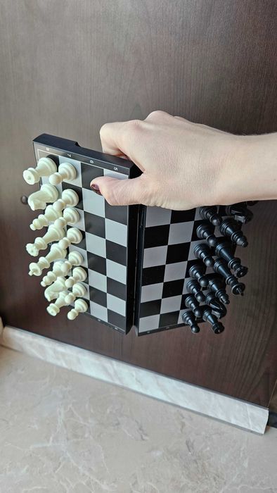 Шахматы магнитные