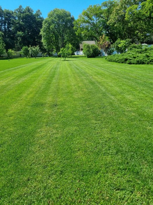 Gazon Rulou și Sisteme de Irigație