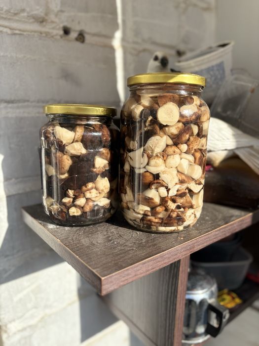 Грибы маринованные