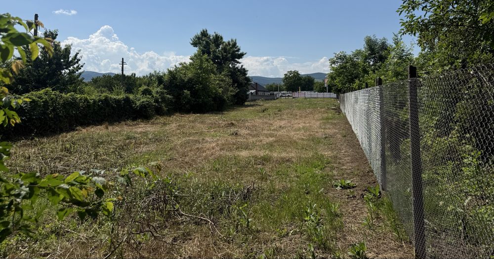 Teren de închiriat 2000 mp – Nicolae Bălcescu, la stradă (E85)