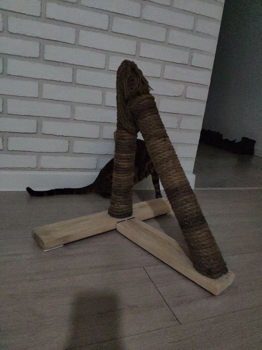 Когтеточка двойная