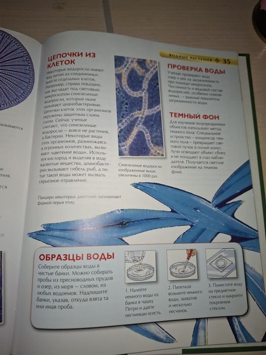 Энциклопедия Микро Мир