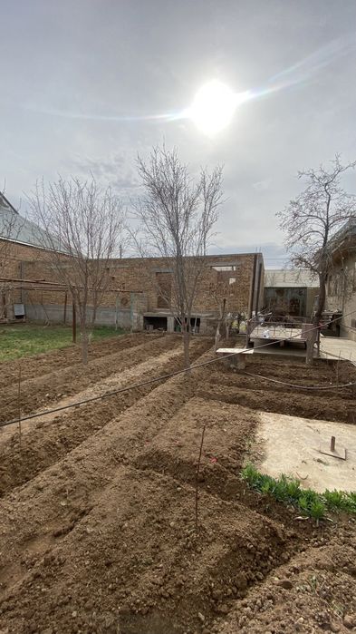 Hovli uy (Termiz shahar piyati)