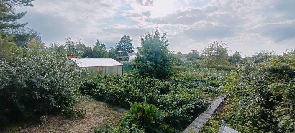 Просторная дача, район Федоровки