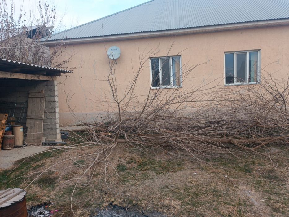 Бутактар берыледы Тегын адрес: Таскен