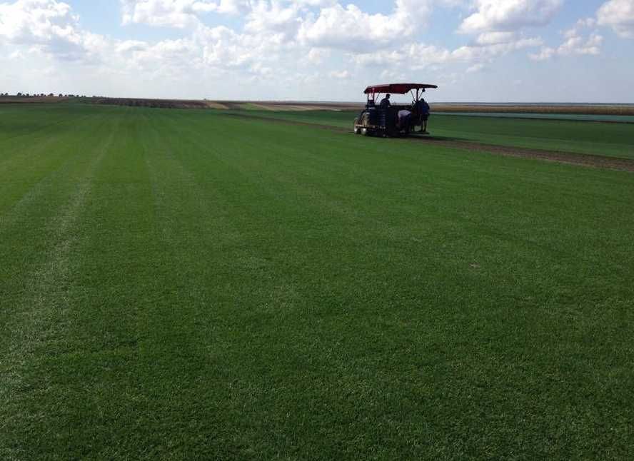 Soluții Verzi pentru Grădină – Gazon Premium cu Montaj