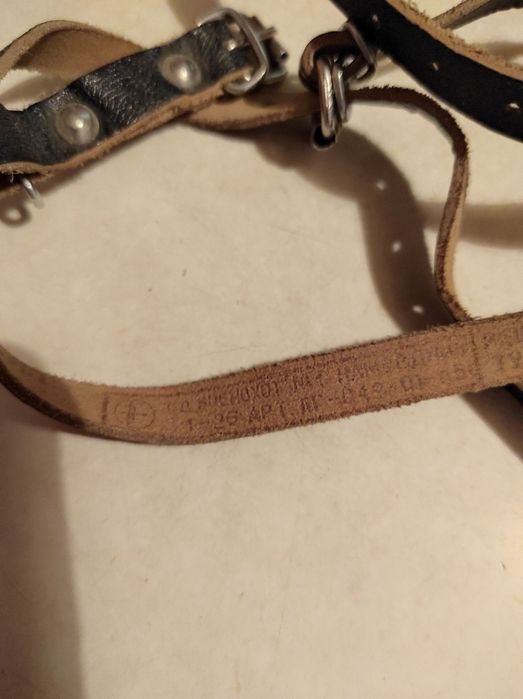 Намордник для собак