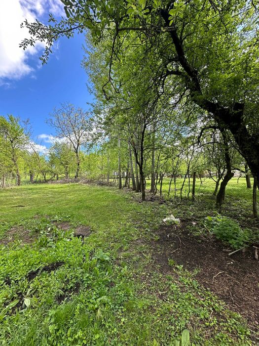 Vand casa in Jud Prahova 2800mp