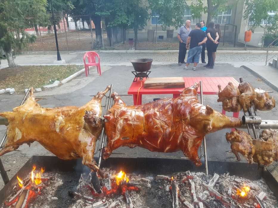 Protap rotisor animale - vitel purcei miei nunti botezuri evenimente