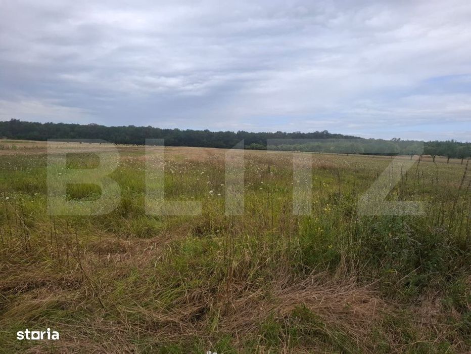 Teren de vanzare – Suta Olteni, 2.500 mp