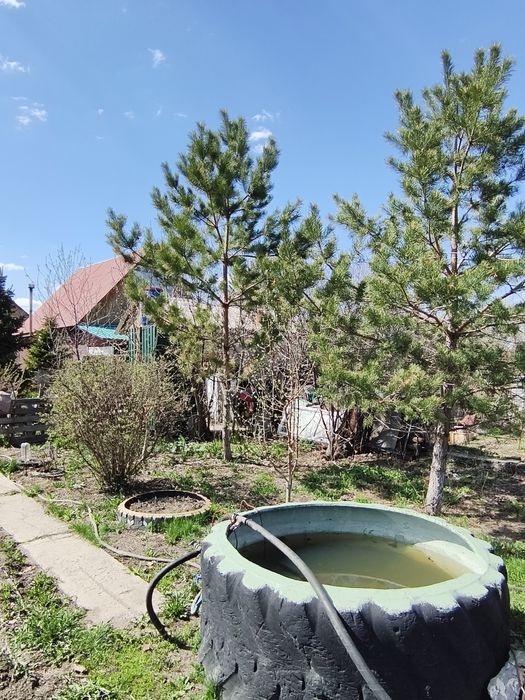 Продам дачу с/о Черёмушки, район Миновного