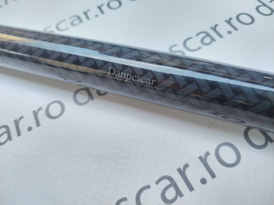 Coada telescopica East shark pentru minciog 3m reglabila