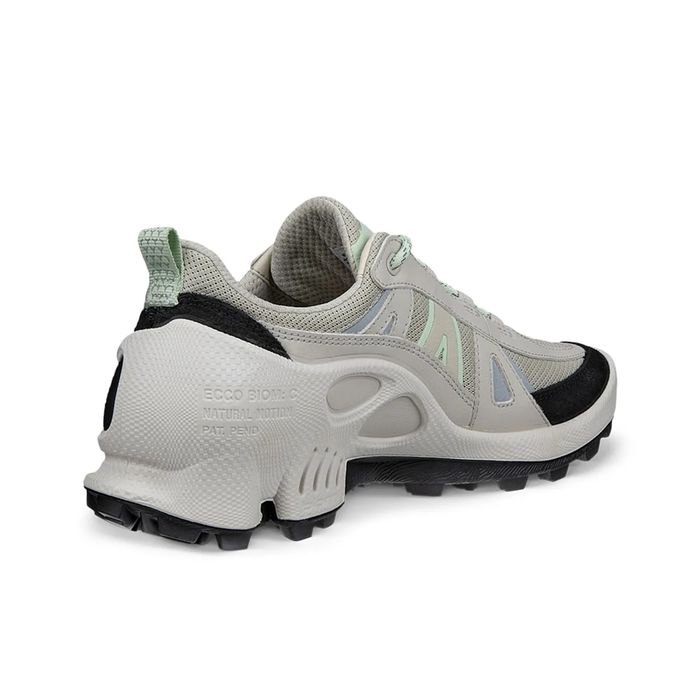 Adidași sport impermeabili Biom C Trail W