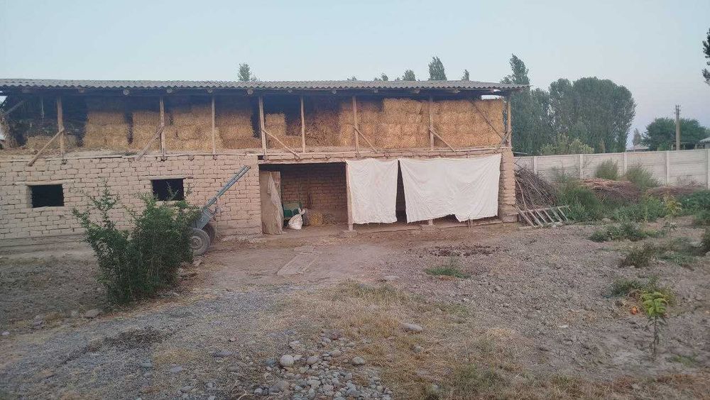 Hovli sotiladi 16 sotix 5xona yashaydigan 3 xona paltara etajka