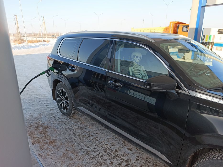 Скелет человека 170 см