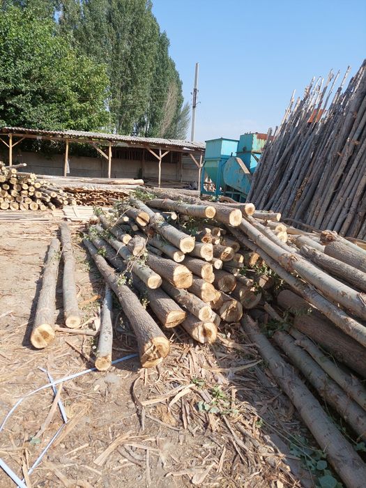 Tosin strapila corni reka taxtalar PILARAMA XIZMATI
