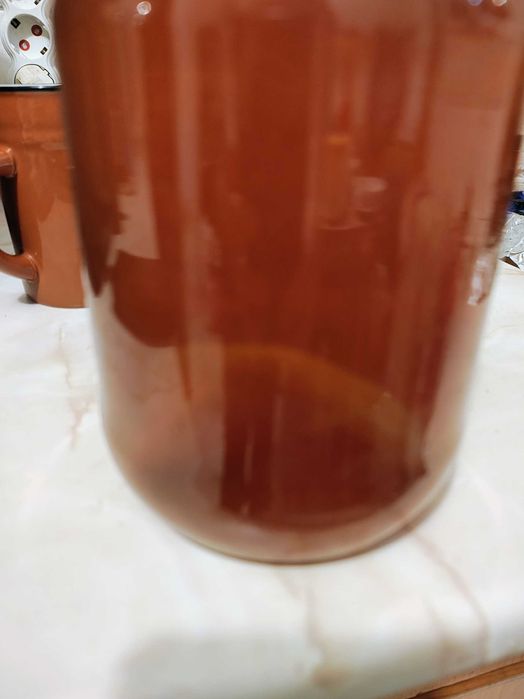 Chefir de apa de lapte Kombucha kefir japonez tibetan