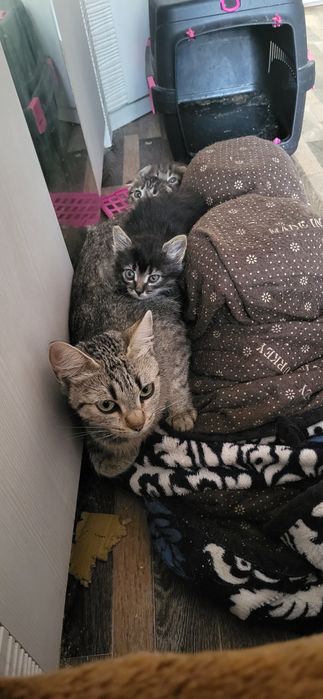 Супер крошки в добрые ручки