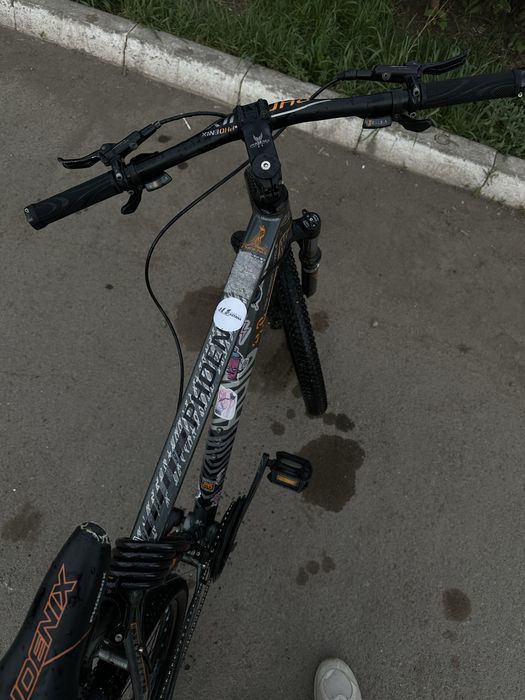 Велосипед Phoenix