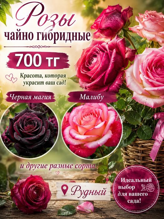 Цветы и саженцы плодовых деревьев