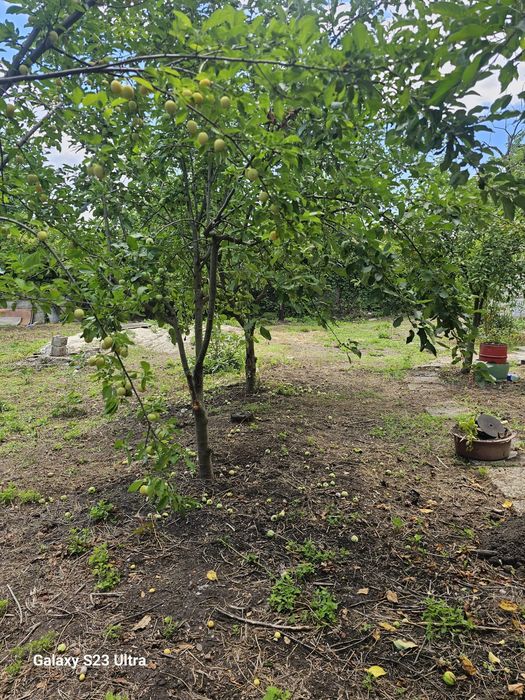 Proprietate de vânzare în Vieru – 1.000 mp, deschidere la 2 străzi