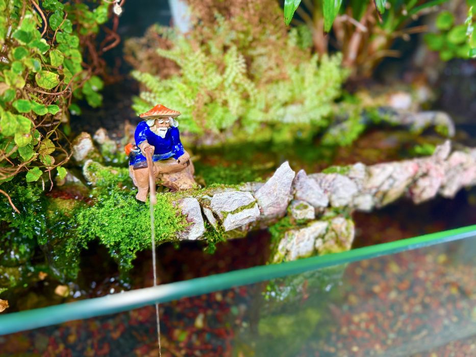 Продаётся эксклюзивный палюдариум аквариум (ручная работа)