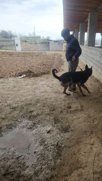 Yeb ichishi joyida soliqlarri yaxshi vaqtiga emlangan i