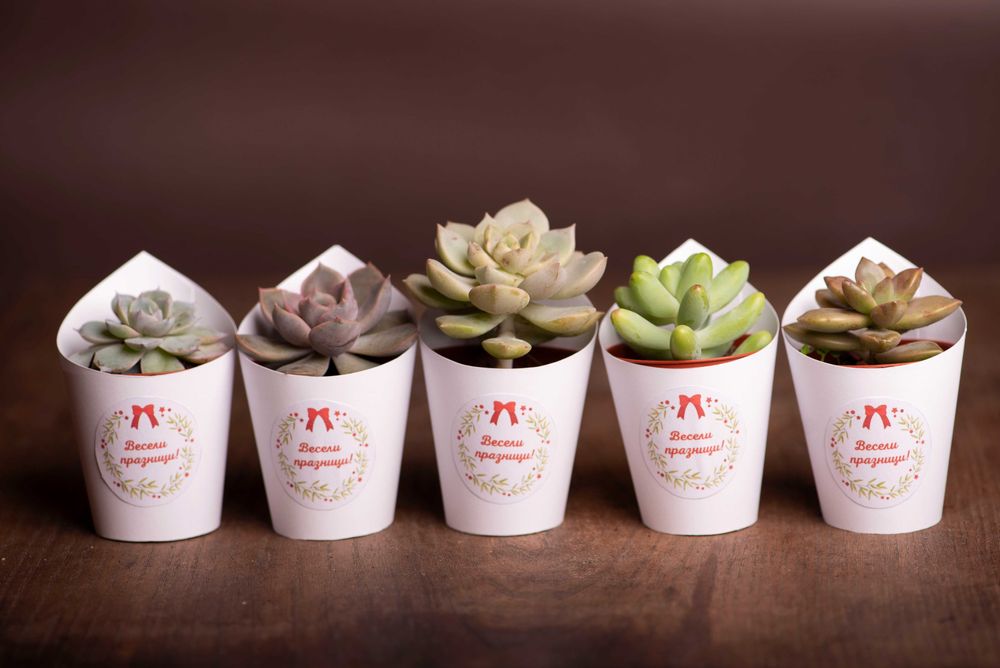 живи подаръчета за събития