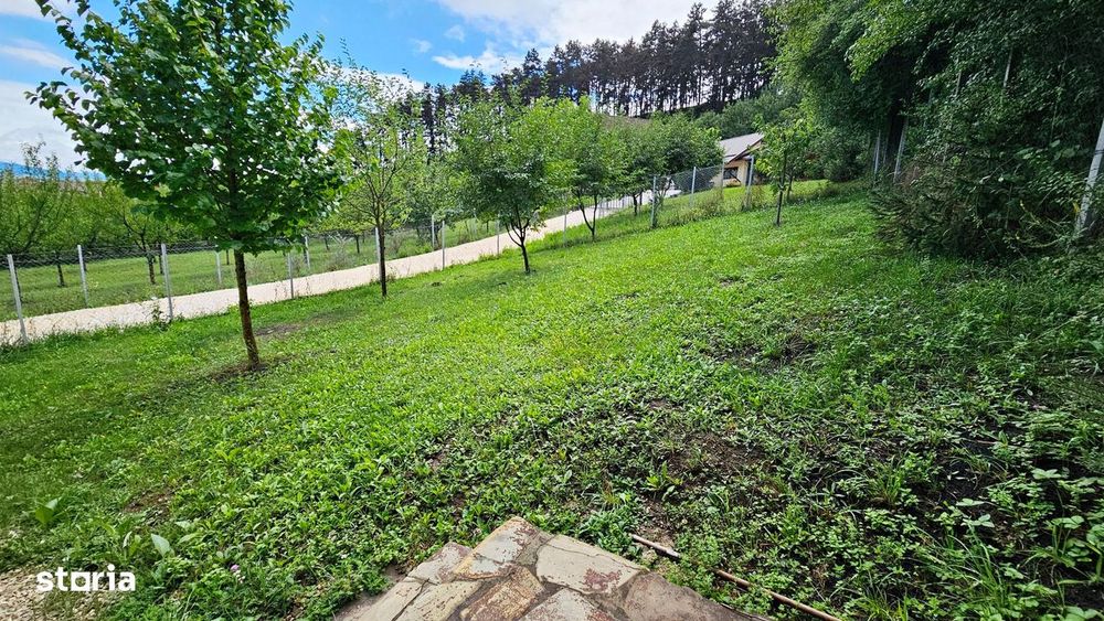 Vila noua-Sanpetru Dealul Lempes, zona verde si linistita.