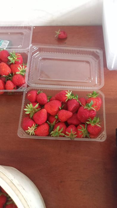 Продаётся местная клубника