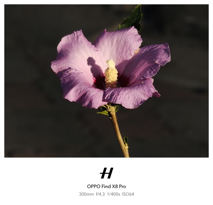 Oppo find x8 pro Идеал фулл кп