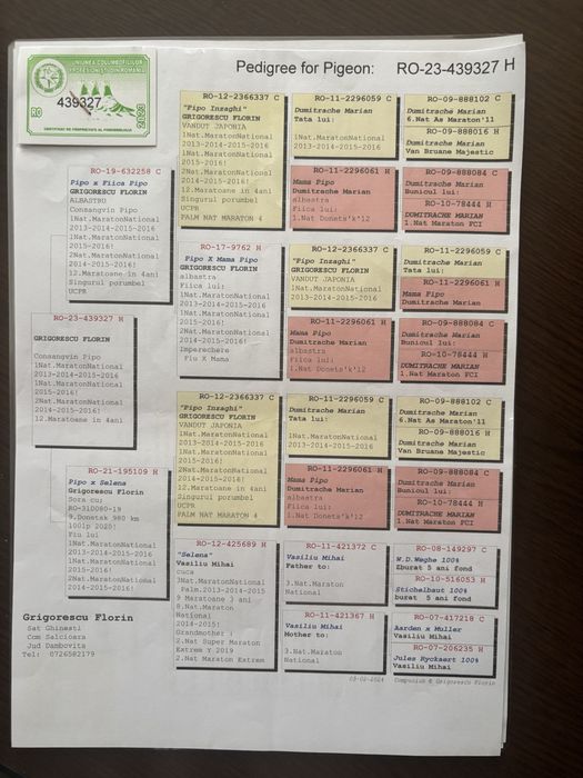 Porumbei fond maraton